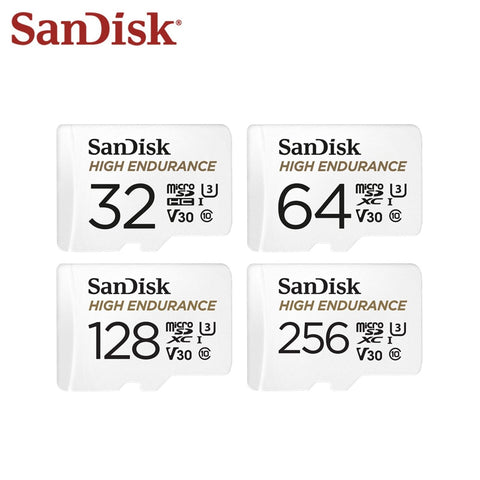 SanDisk Memory Card High Endurance Video Monitoring TF Card 256GB 128GB 64GB 32GB Micro SD Card Up to 100MB/s Flash Card