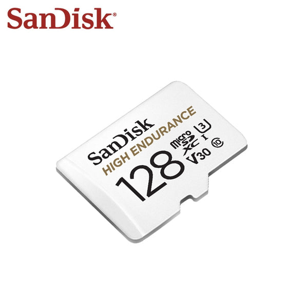 SanDisk Memory Card High Endurance Video Monitoring TF Card 256GB 128GB 64GB 32GB Micro SD Card Up to 100MB/s Flash Card